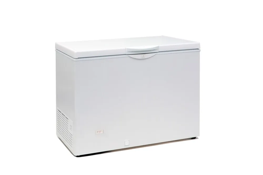 Frigorifero a Pozzetto Bianco - 275 L