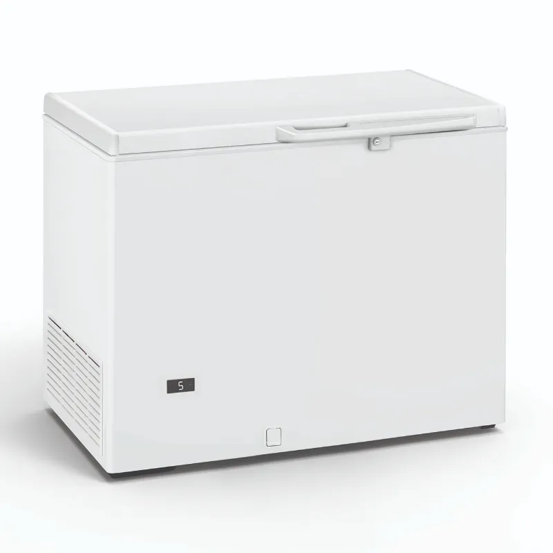 Congelatore a baule professionale - 290 L