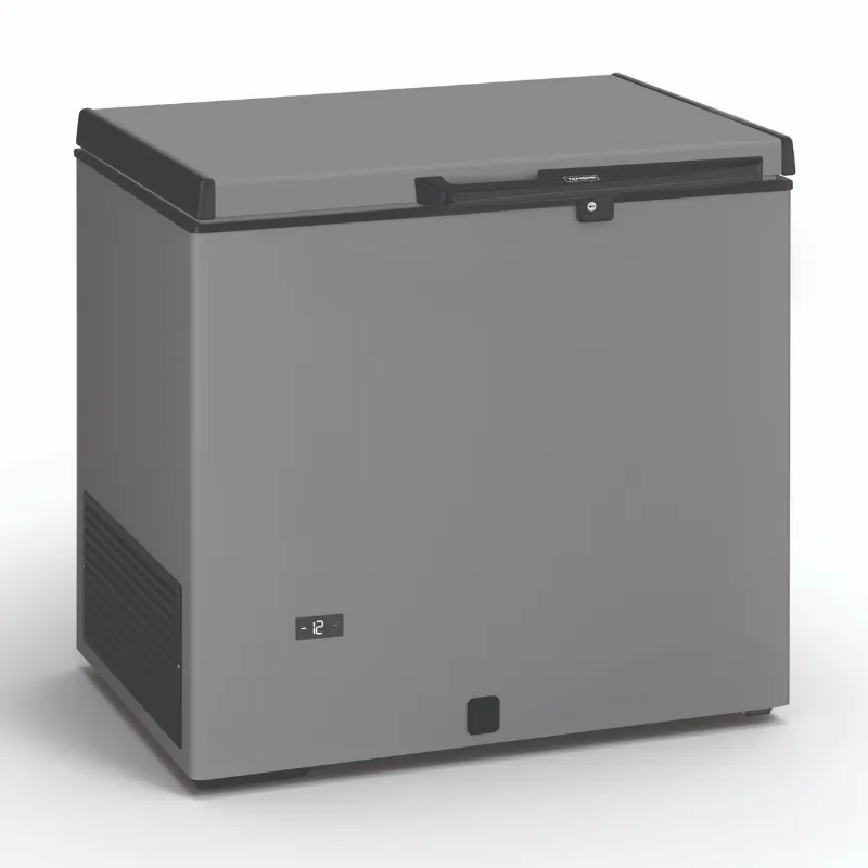 Congelatore a cassa professionale in acciaio inox - 220 L