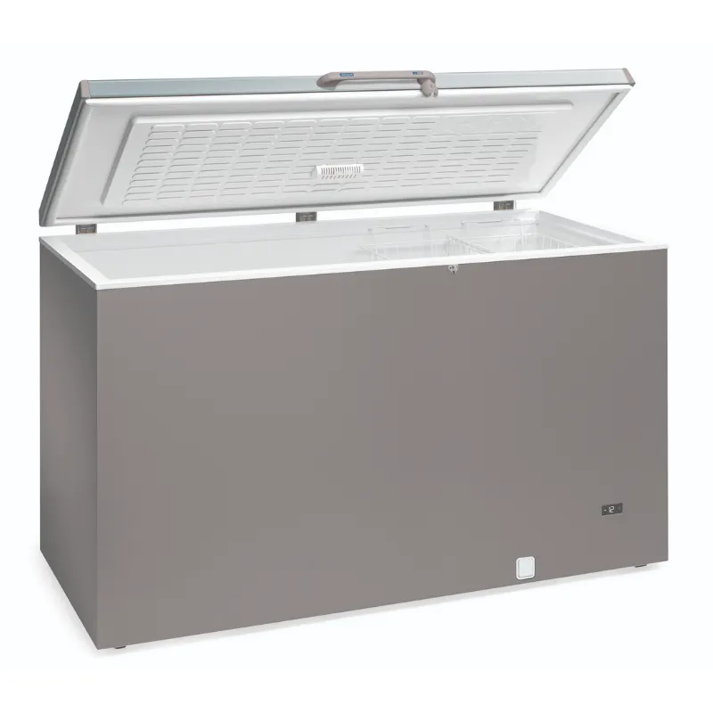 Congelatore a baule professionale in acciaio inox - 700 L