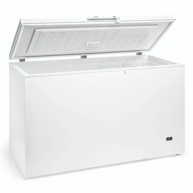 Congelatore a baule professionale - 700 L