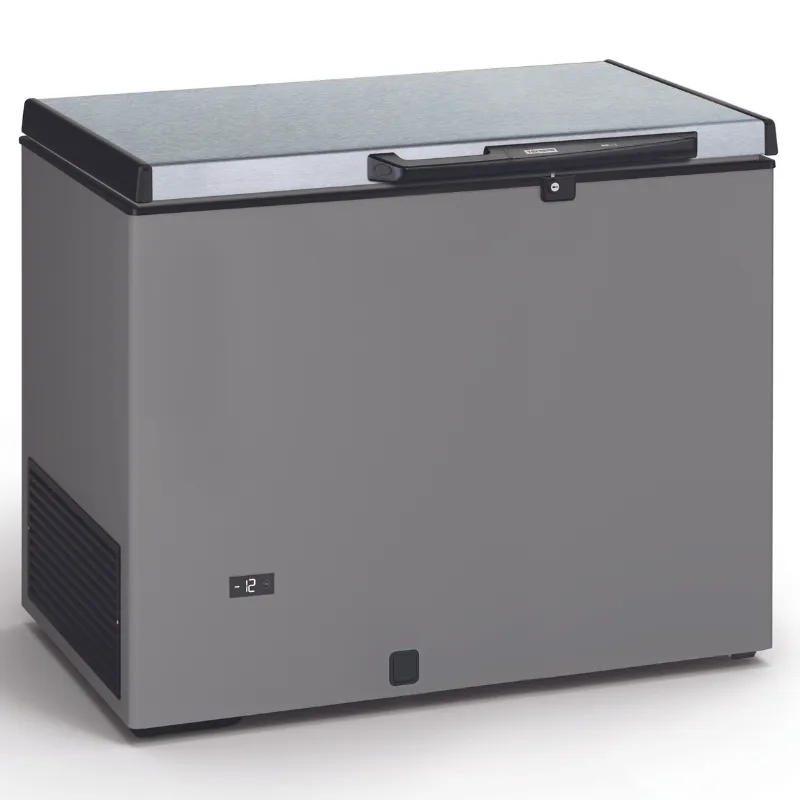 Congelatore a Pozzetto Aspetto Inox e Coperchio Inox - 290 L