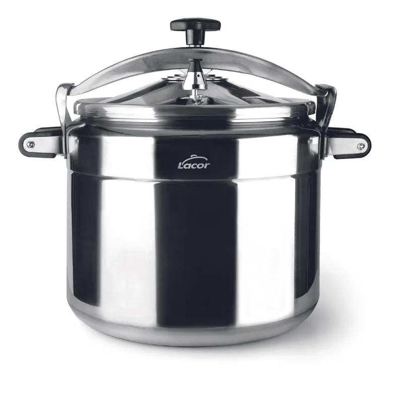 Pentola a Pressione Pro-Classic - 11 L