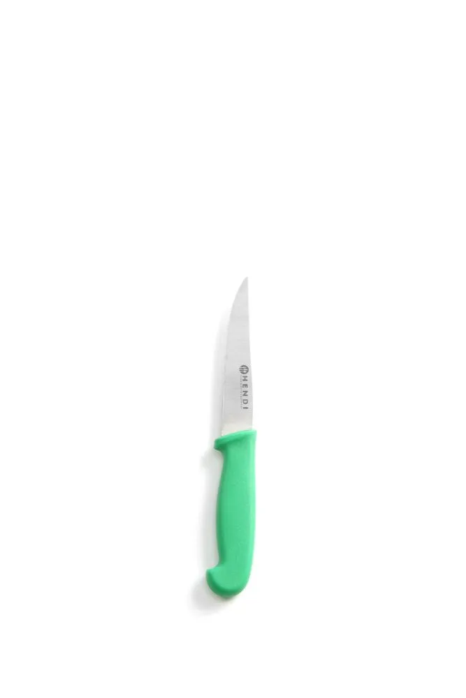 Coltello Universale Verde per Frutta e Verdura - Lama da 10 cm