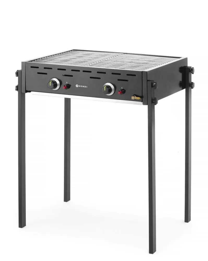 Barbecue a gas con 2 bruciatori Grill