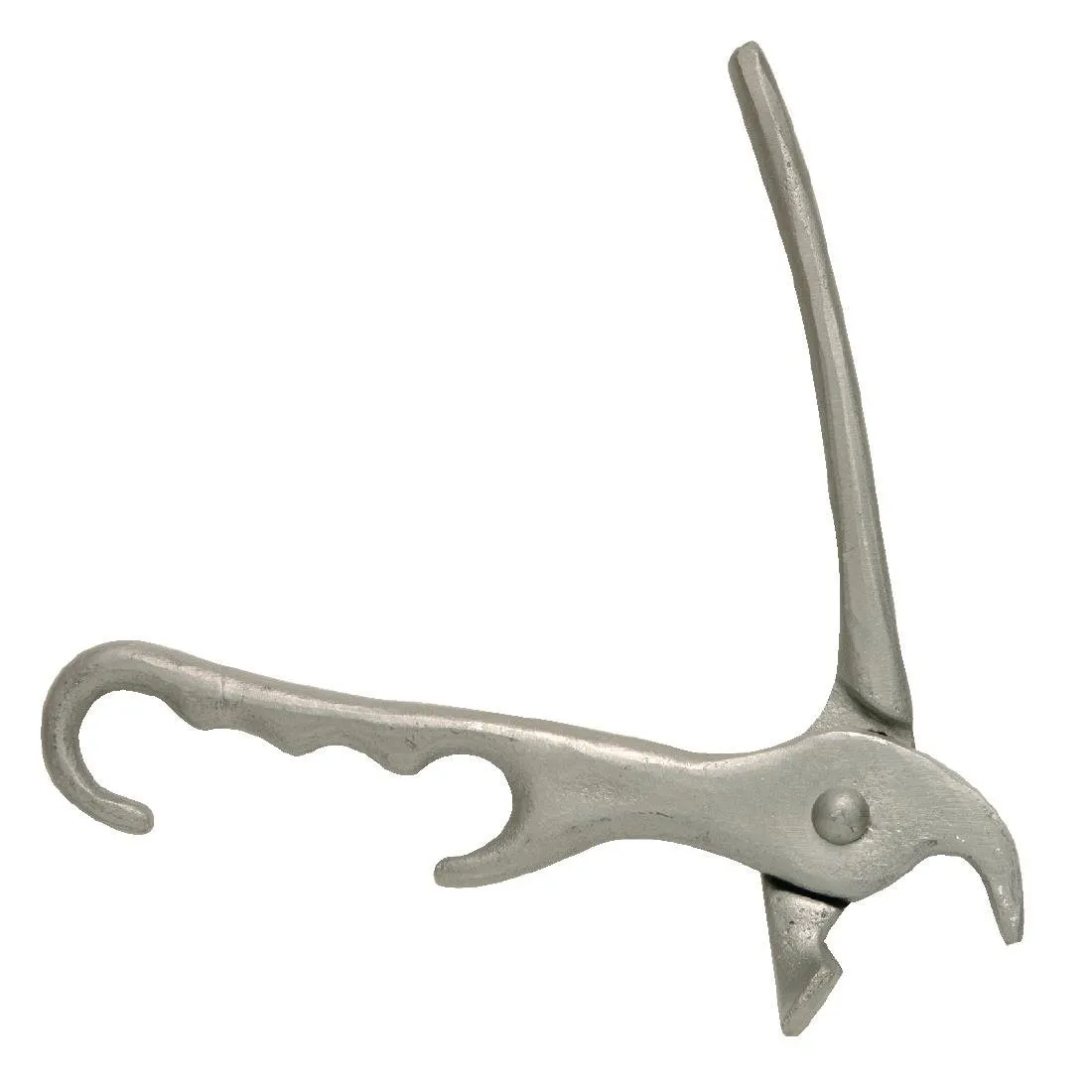 Pinza piatta