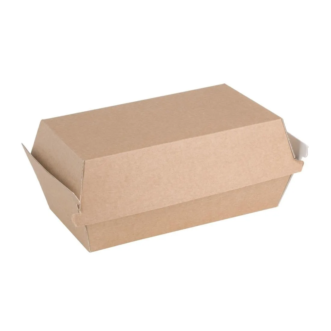 Piccole scatole con coperchio a cerniera compostabili da 172 mm - Lotto da 200
