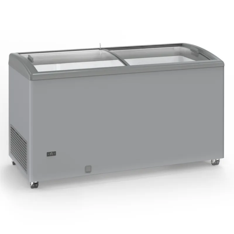 Congelatore Aspetto Inox a Porte Scorrevoli Vetrate - 500 L