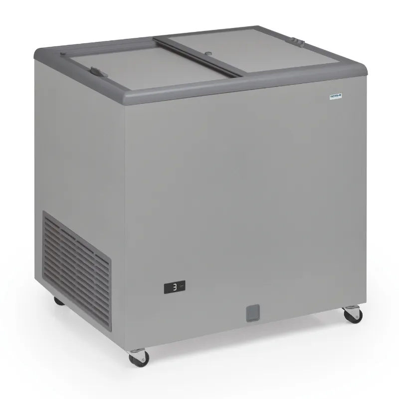 Congelatore a Pozzetto Professionale Aspetto Inox e Coperchio Opaco - 220 L
