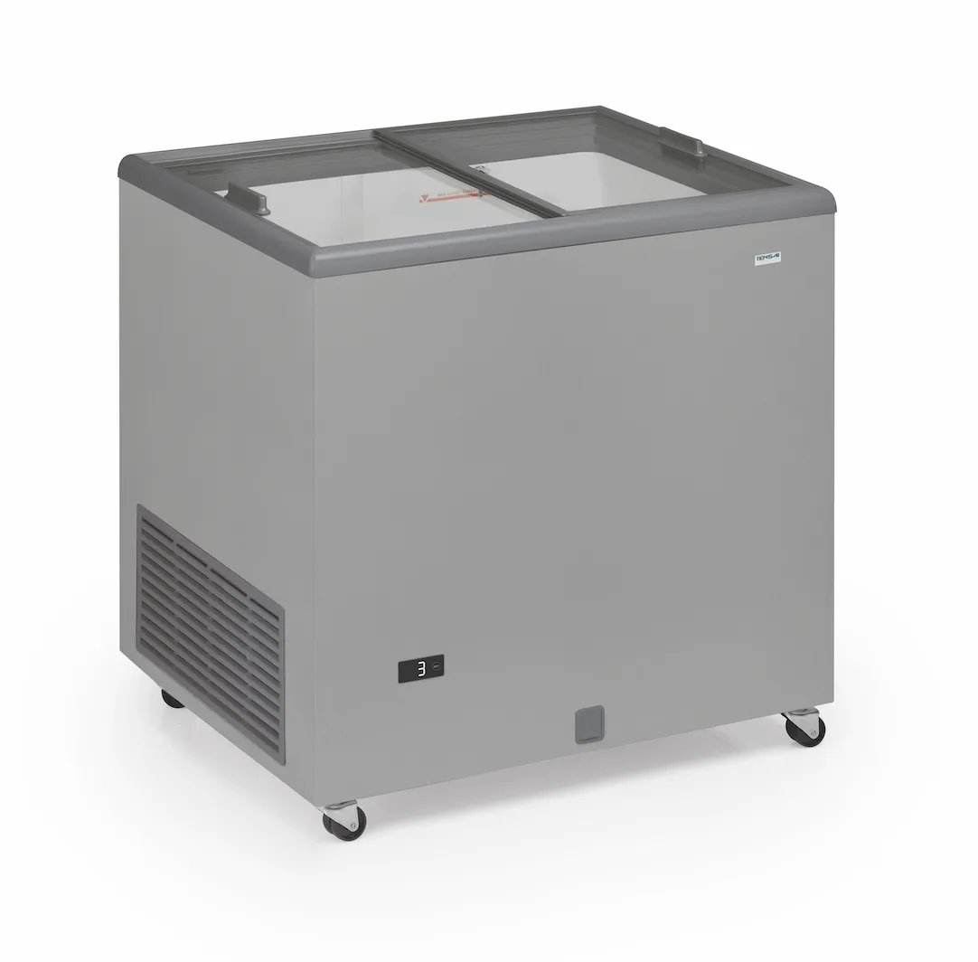 Congelatore Porte Scorrevoli in Vetro - 220 L