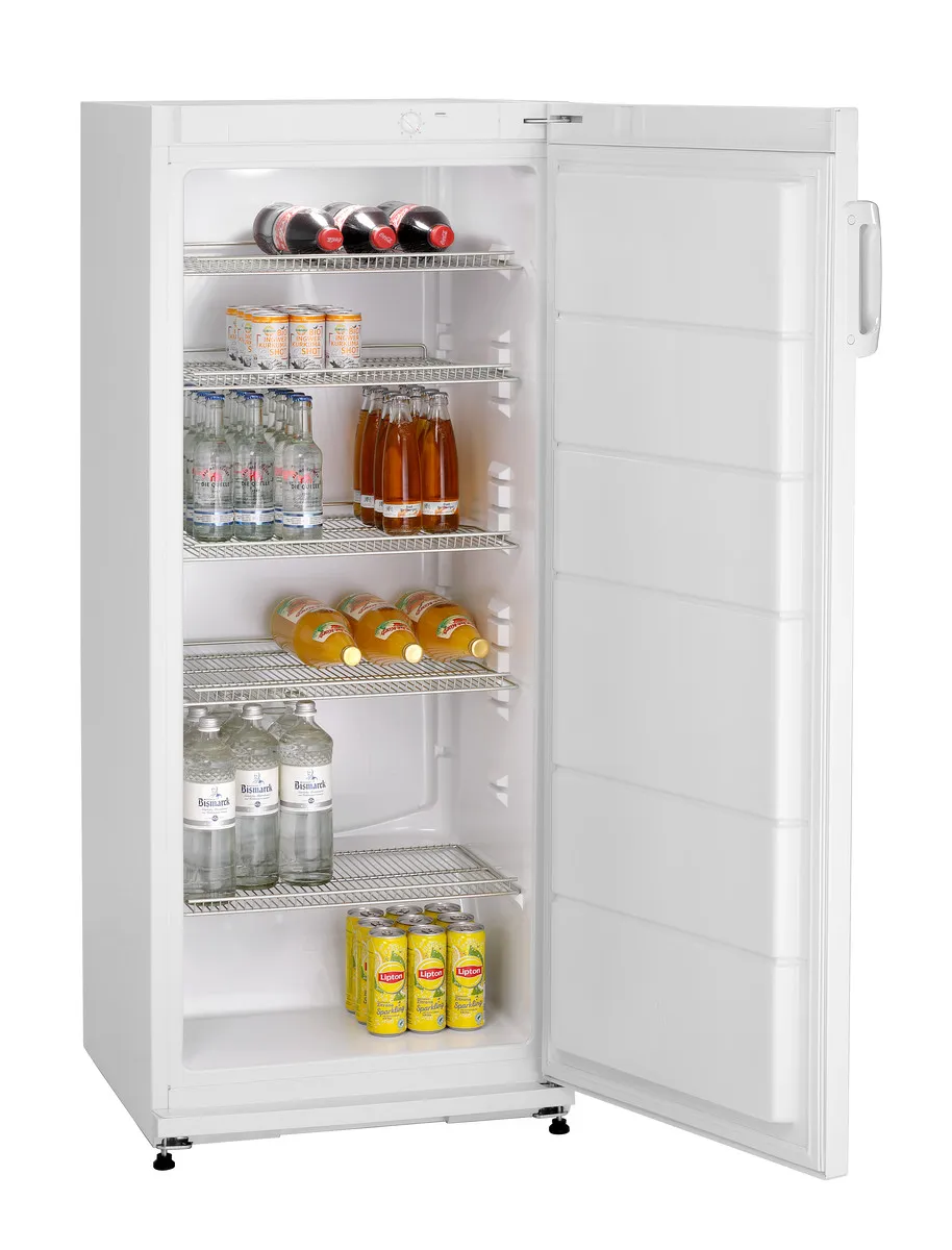 Armadio Refrigerato Positivo Bianco - 270 L