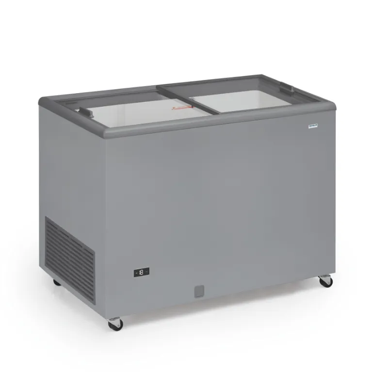 Congelatore a porte scorrevoli vetrate - 300 L