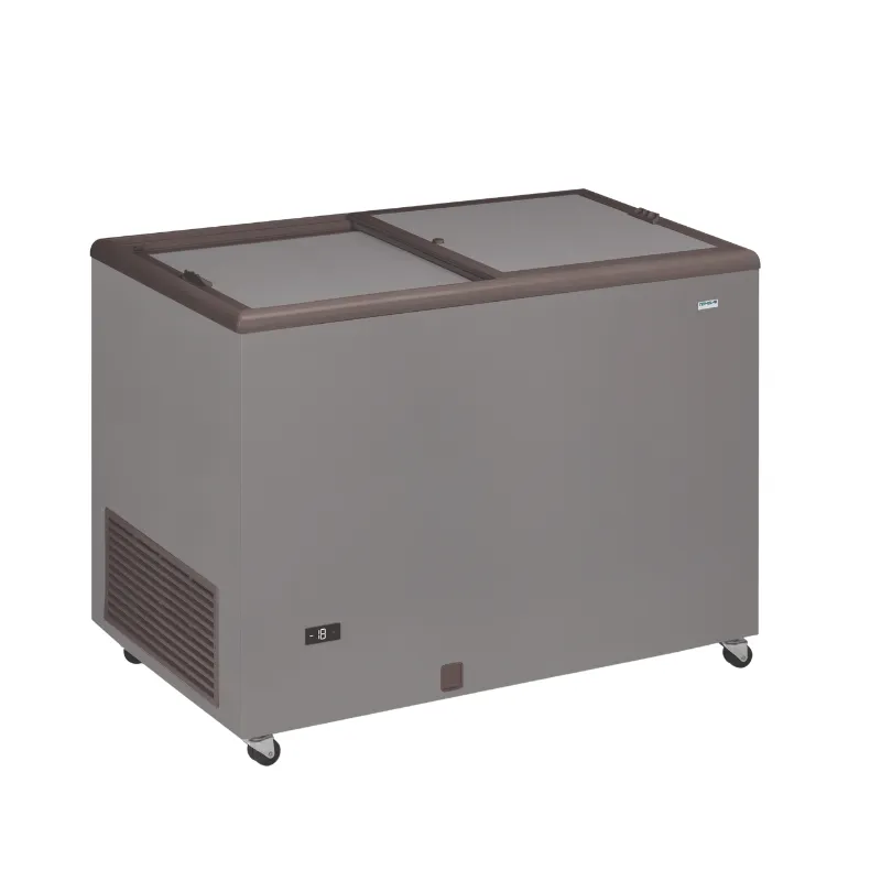Congelatore a Pozzetto Professionale Aspetto Inox e Coperchio Opaco - 400 L