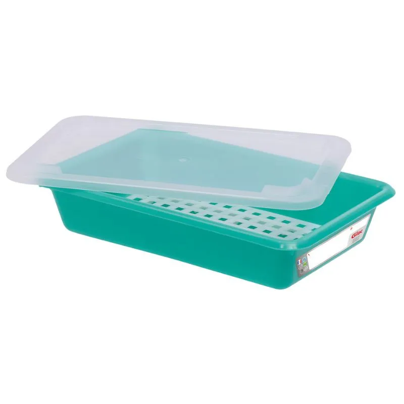 Vaschetta Piatta HACCP con Coperchio e Griglia - 3 L - Verde