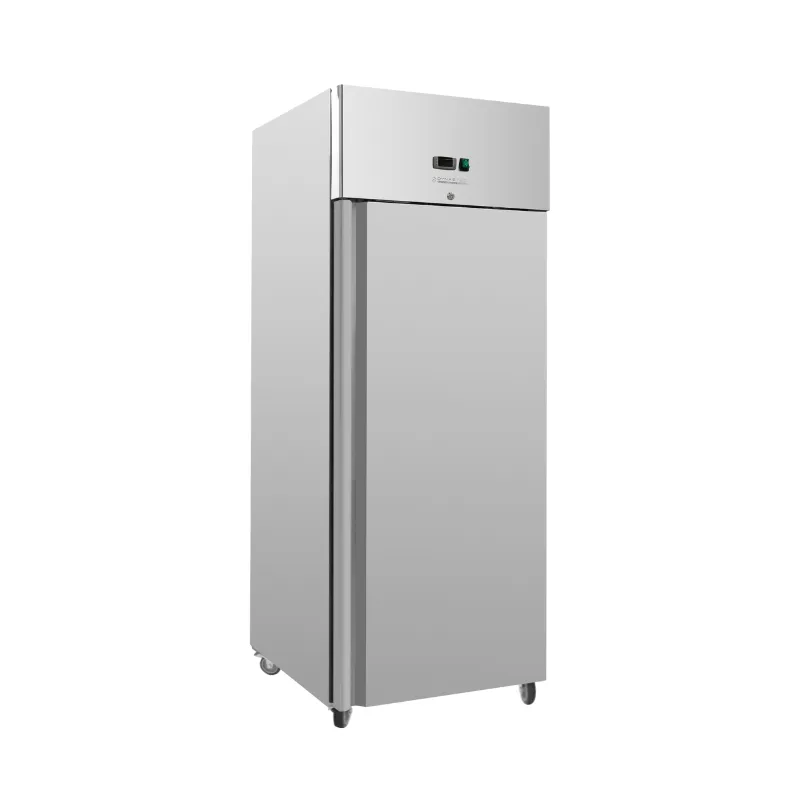 Armadio Refrigerato Inox Negativo GN 2/1 - 650 L