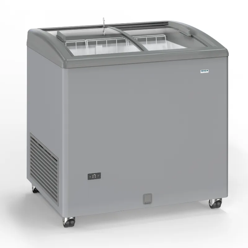 Congelatore Aspetto Inox a Porte Scorrevoli Vetrate - 170 L - Ricondizionato