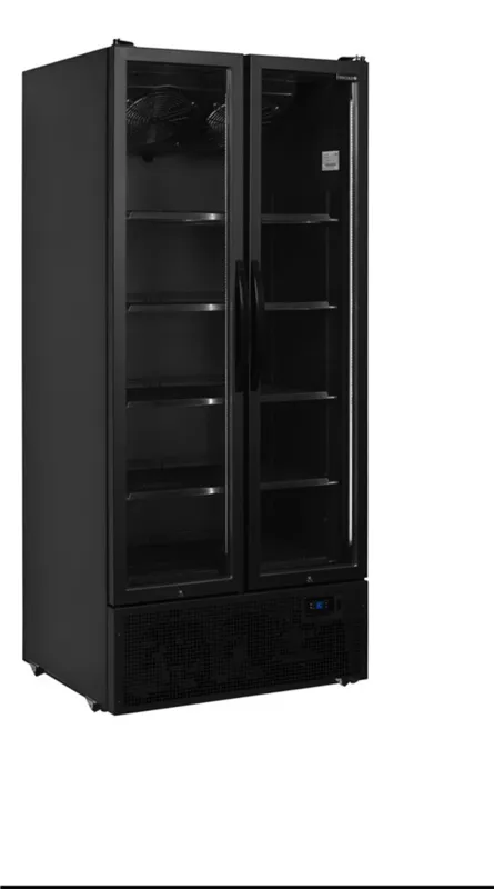 Armadio Refrigerato Positivo Nero - 2 Porte Vetrate - 535 L