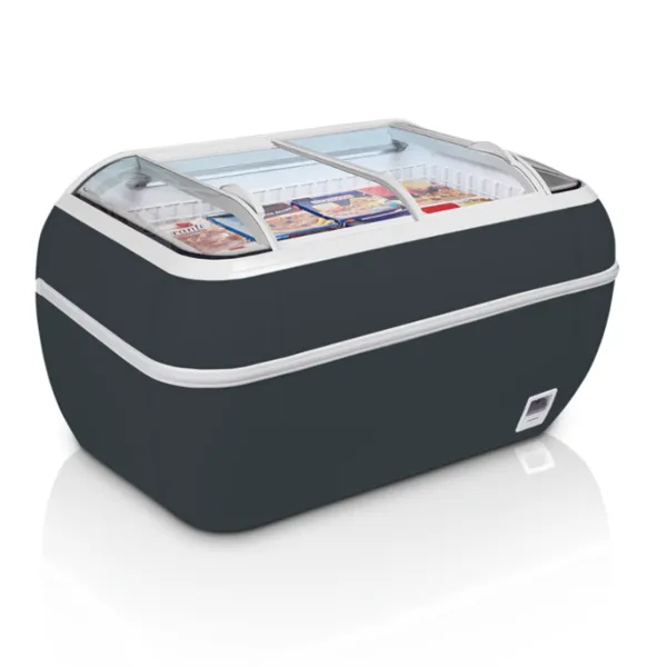 Congelatore 2 Coperchi Vetro Curvo Grigio 334 L