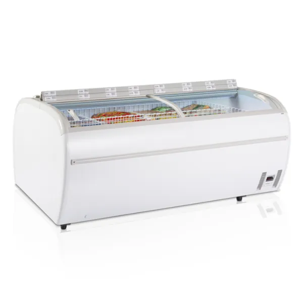 Congelatore 2 Coperchi Vetro Curvo 1255 L