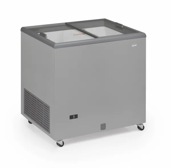 Congelatore Porte Scorrevoli in Vetro - 220 L