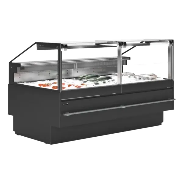 Vetrina di Servizio Premium per Pesce Fresco - 480 W
