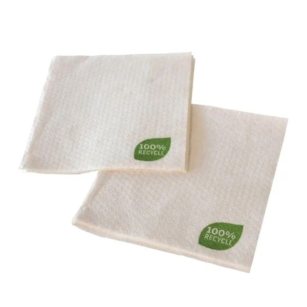 Asciugamano di carta riciclata - 30 x 30 cm 1 piega - Pacco da 100